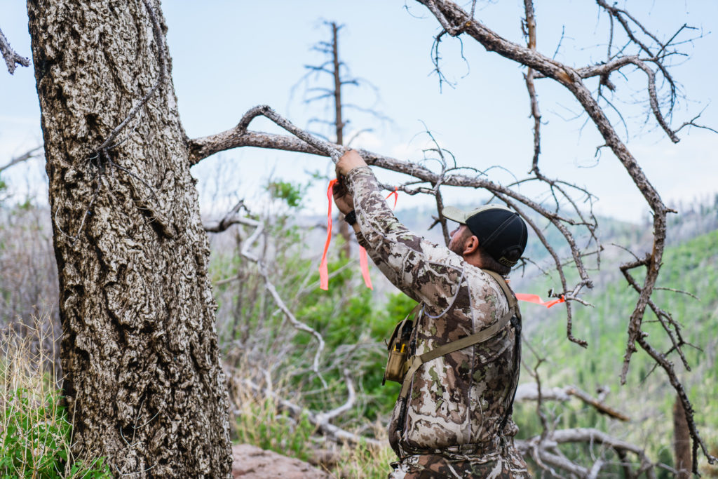 Josh's brother Jake marking a tree so Josh could see on a stalk for black bear in Arizona