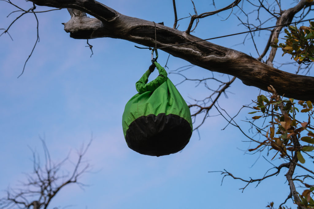 Food hanging in tree on a backpack hunt for bear in Arizona