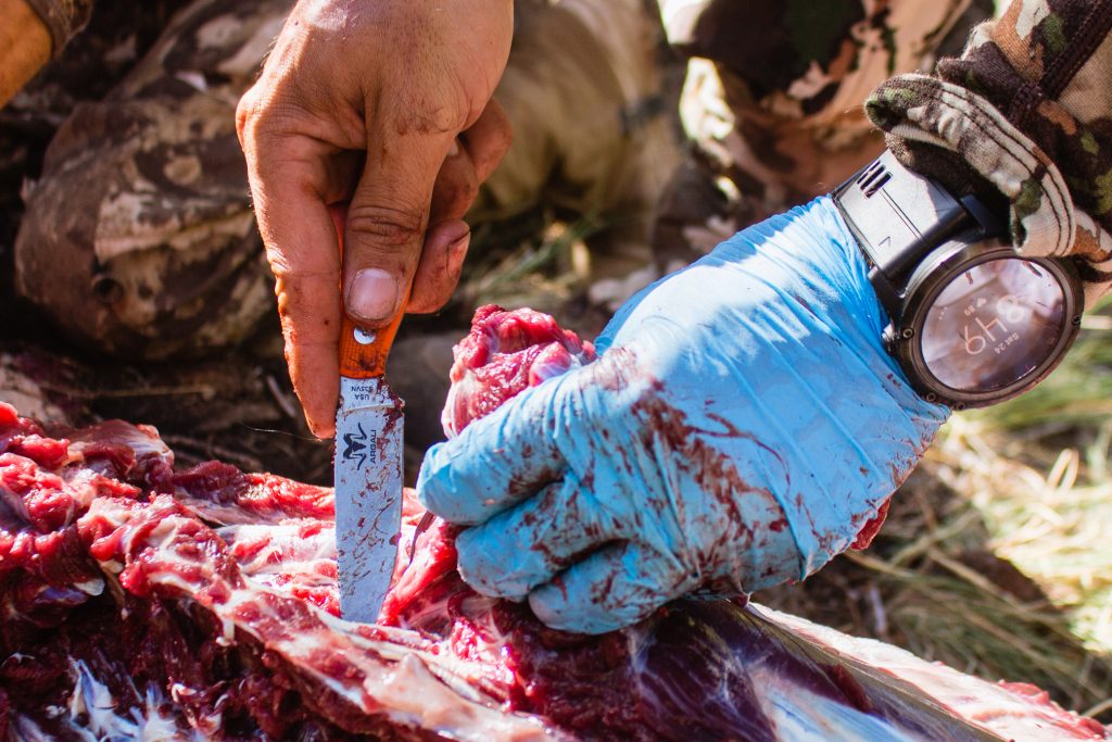 The Argali Carbon Knife on a bear hunt in Arizona