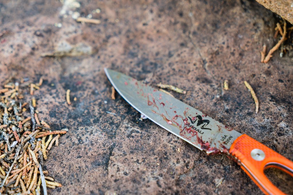 Argali Carbon Knife after processing a high country mule deer