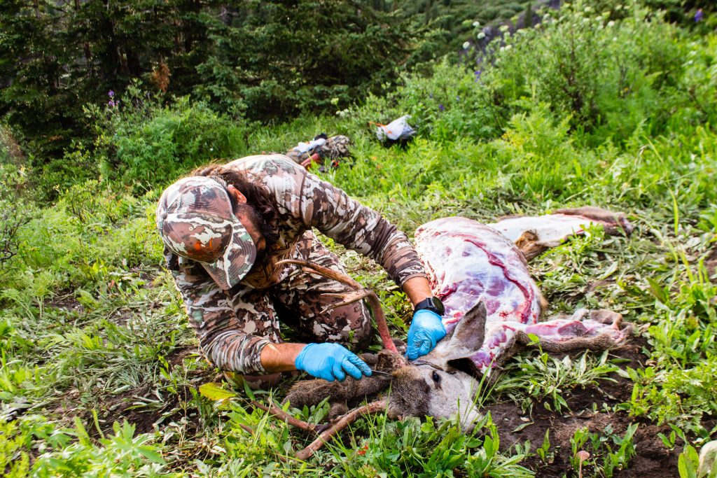 Successful CO mule deer hunt