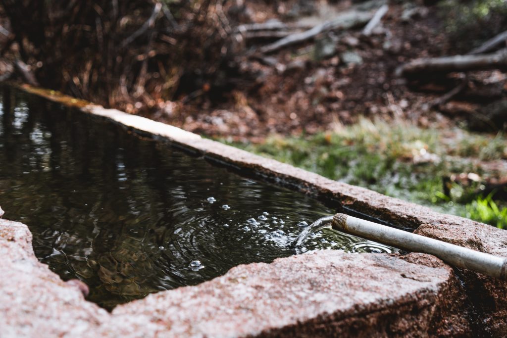 Running Spring in Arizona