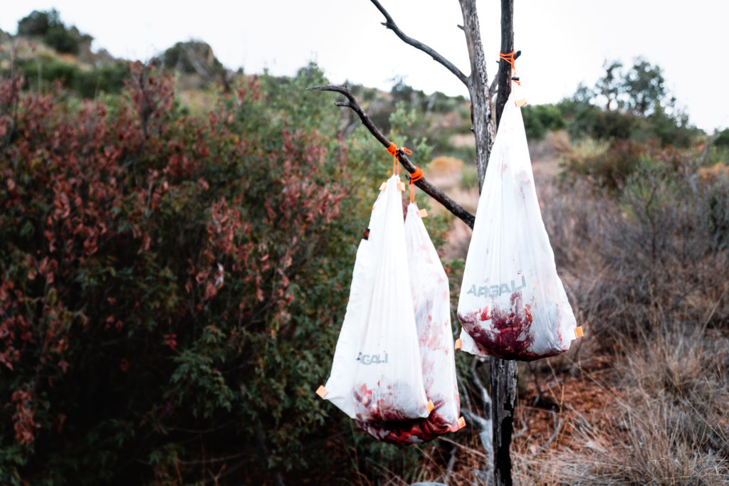 argali game bags hanging in tree on a deer hunt in Arizona
