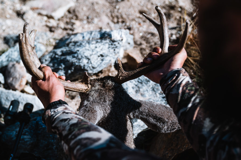 Josh Kirchner from Dialed in Hunter's backcountry archery coues deer he recently took after a rough 2021 hunting season