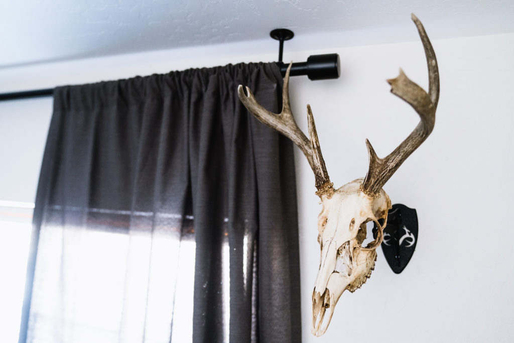 Lazy Euro Coues Skull hung up in Josh's house with a Skull Hooker