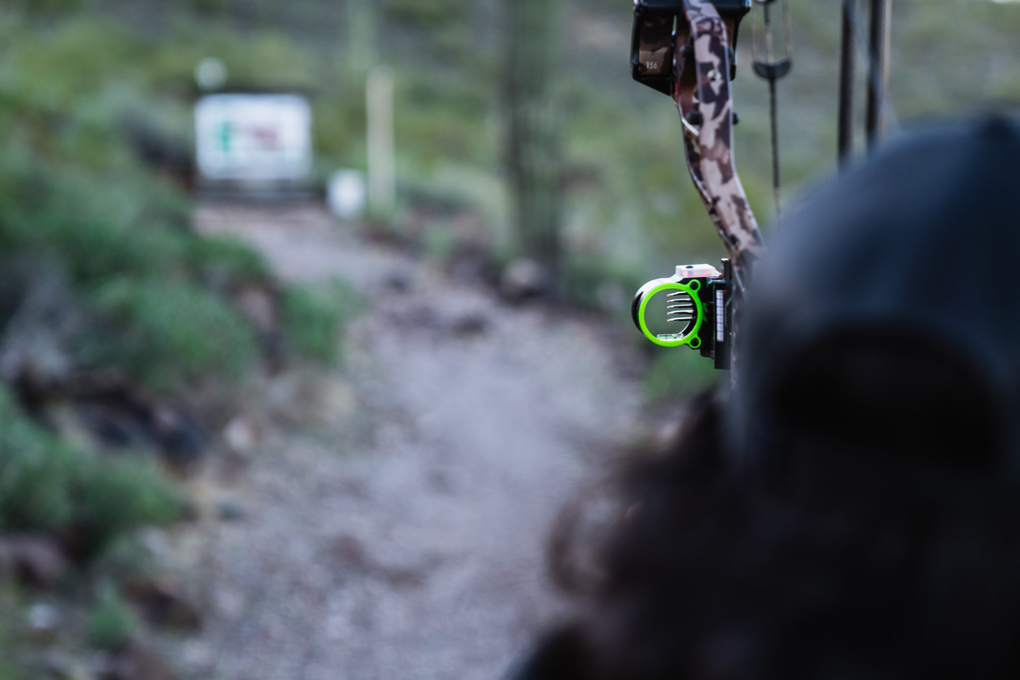 How To Sight In A Bow Sighting In My New PSE EVO XF 33 For 2022 