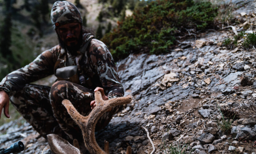 Bowhunting for Mule Deer in the High Country