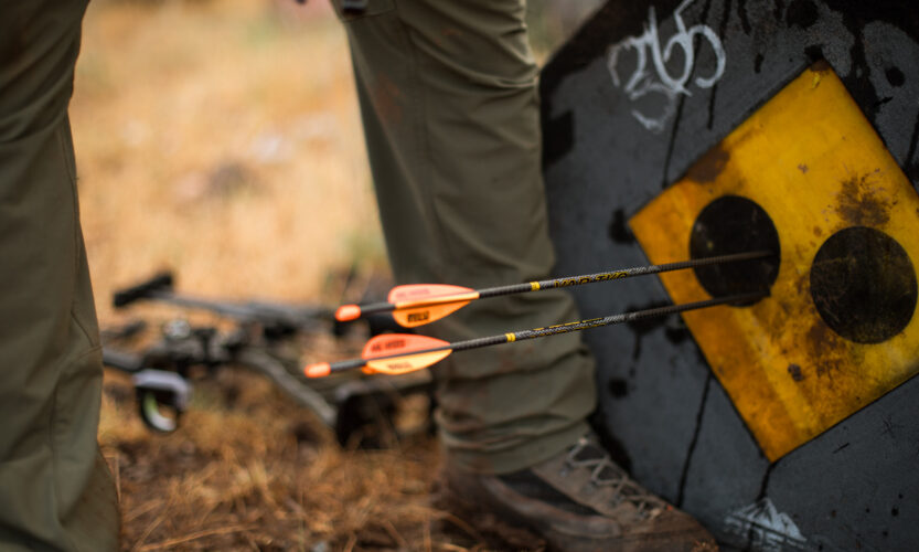 Arrows in a target
