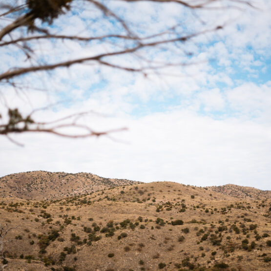 Arizona desert on a backpack hunt for coues deer