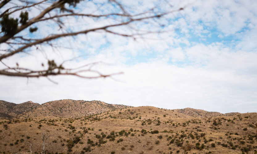 Arizona desert on a backpack hunt for coues deer