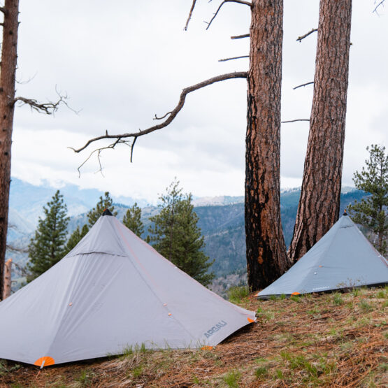 Backpack hunting tents set up on a spring bear hunt in Idaho