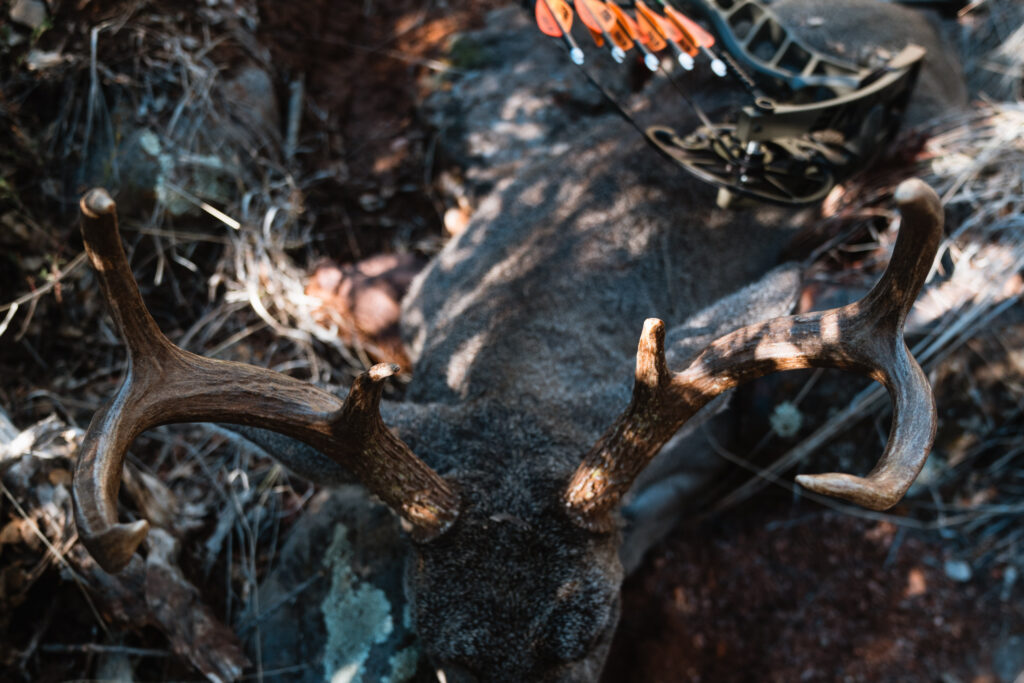 archer coues deer Josh Kirchner harvested in Arizona