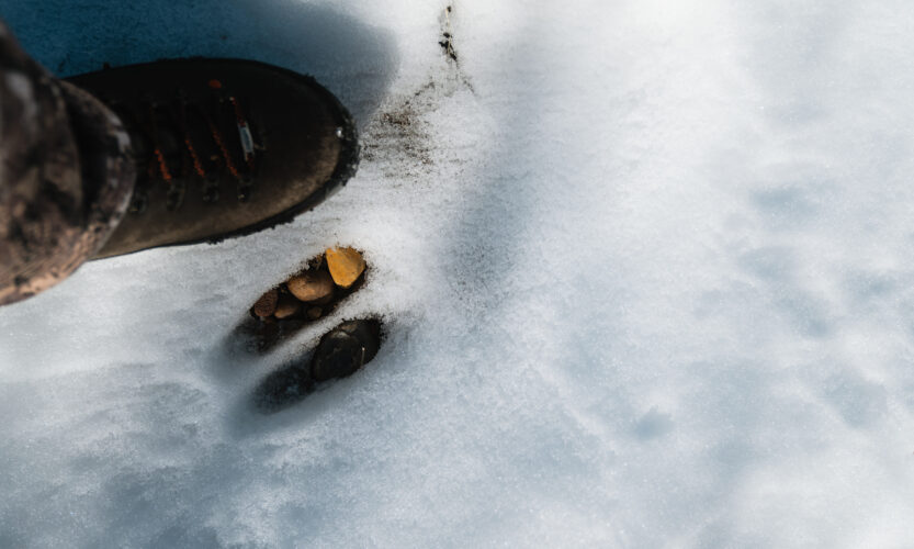 Hunter standing next to a whitetail deer track in the snow