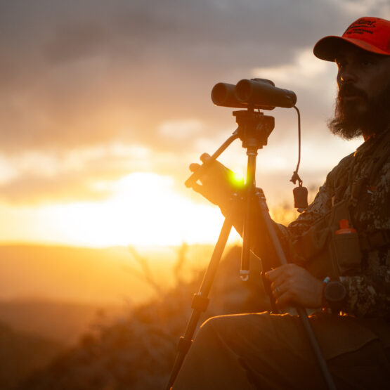 Josh Kirchner glassing for black bears in Arizona