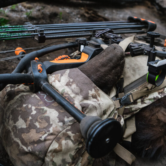 a black bear loaded into an exo mountain gear hunting backpack on an archery bear hunt in arizona