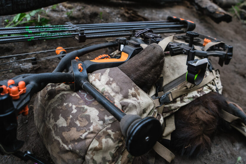 a black bear loaded into an exo mountain gear hunting backpack on an archery bear hunt in arizona