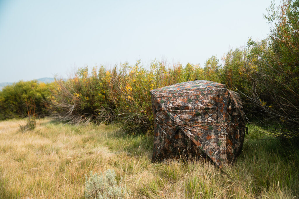 blind set up for pronghorn