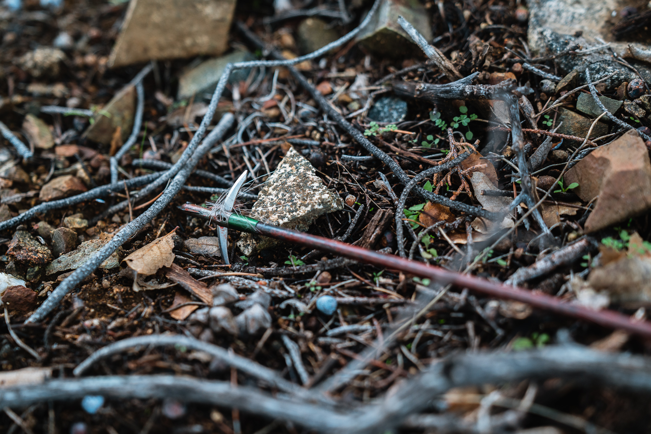 Evolution Outdoors Hyde Broadhead after it passed through an elk in Arizona