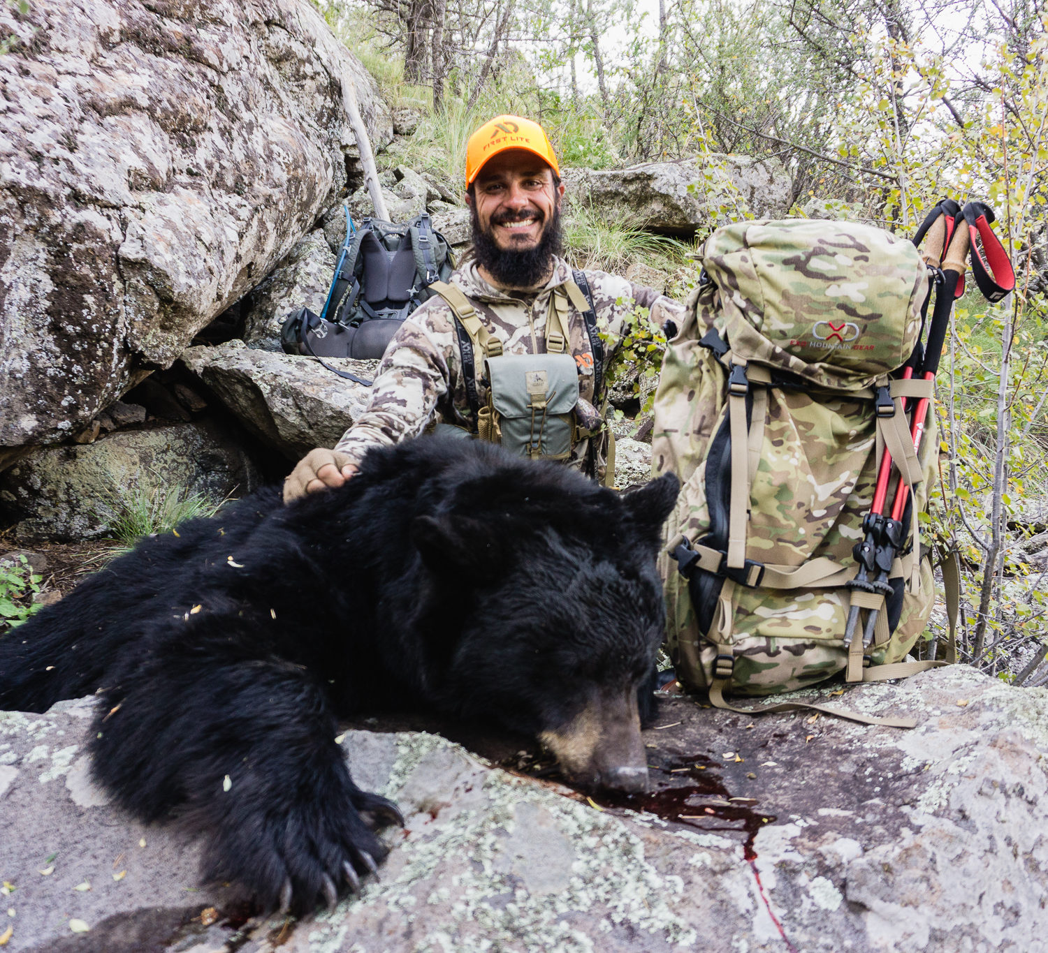 Bear Hunting