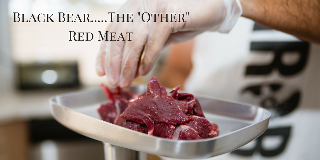 Bear Meat: Everything You Need to Know About Eating Bear