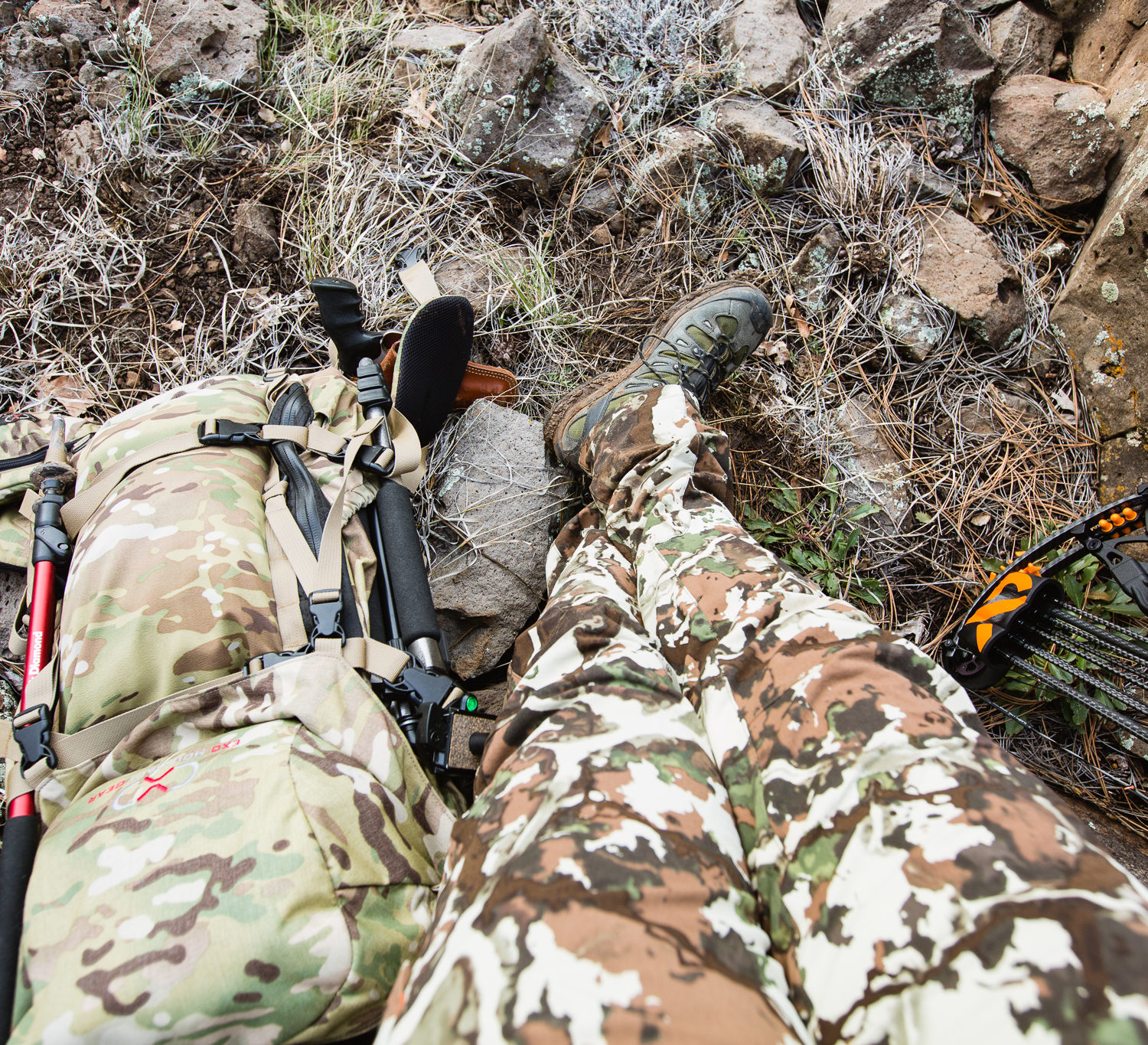 bowhunting