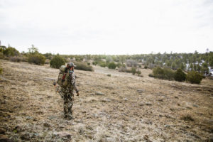 Bowhunting