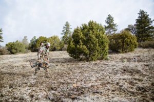 Bowhunting