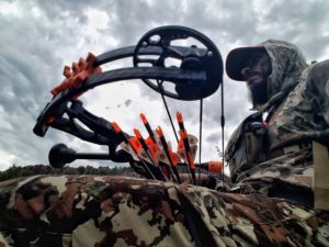 Bear Hunting