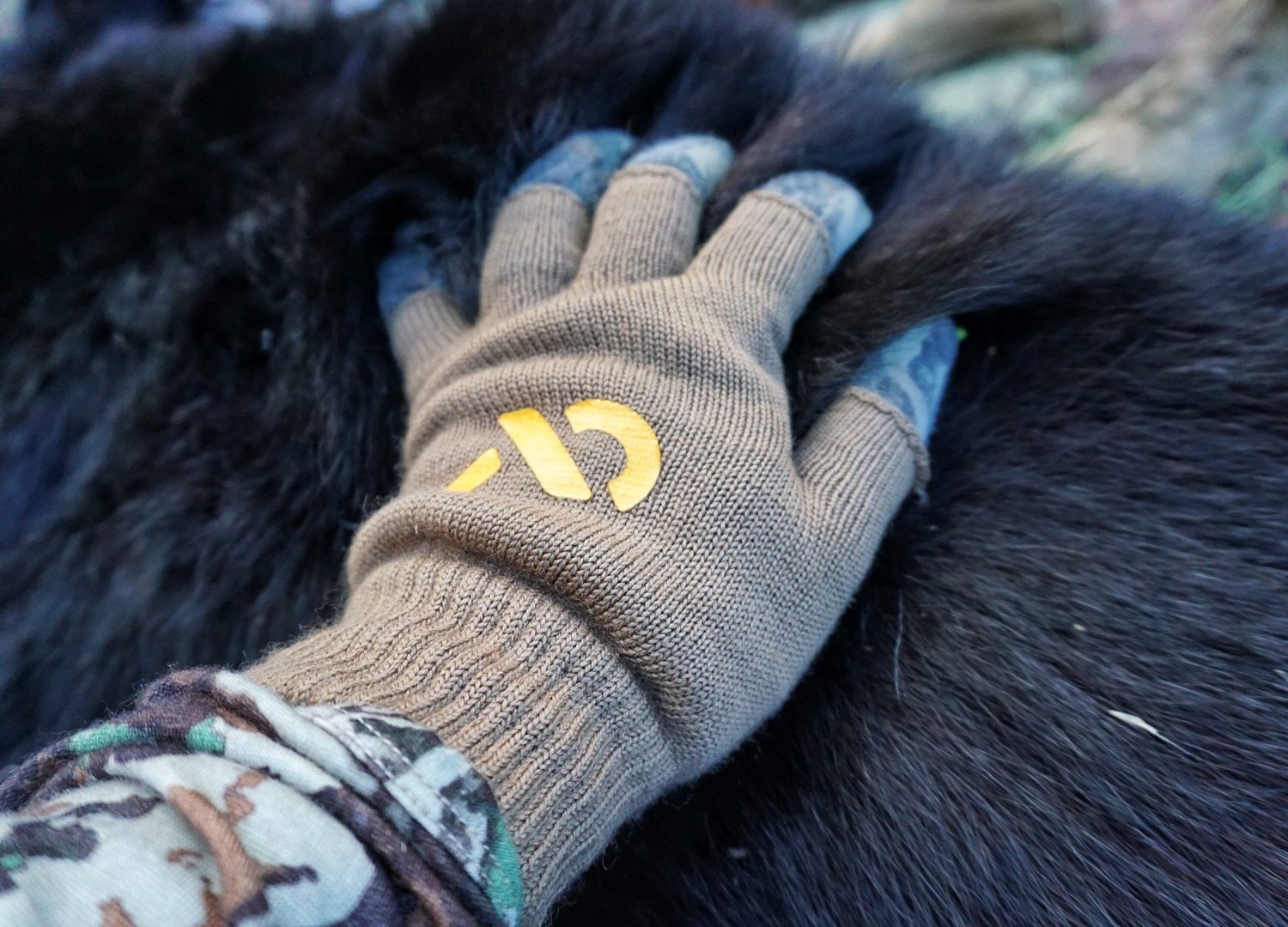 Bear Hunting