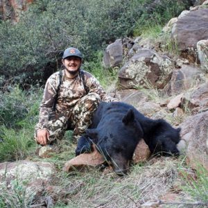 Bear Hunting