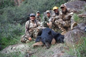 Bear Hunting