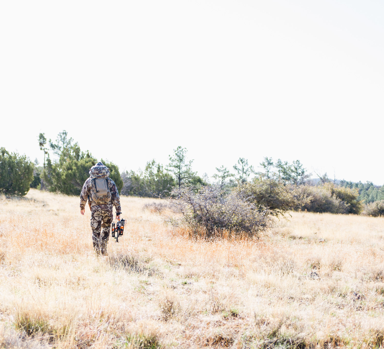 Josh from Dialed In Hunter Bowhunting
