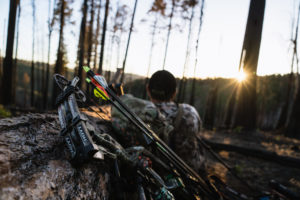 Evening glassing session for bears in arizona