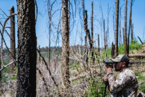 Josh's brother Jake glassing for bears