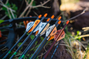 Josh of Dialed in Hunter's bloody arrow after shooting a black bear in arizona
