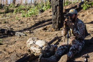 Josh of Dialed in Hunter Glassing for Bears