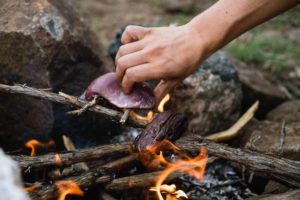 Fresh Tenderloin cooking over an open flame on a archery deer hunt in Arizona
