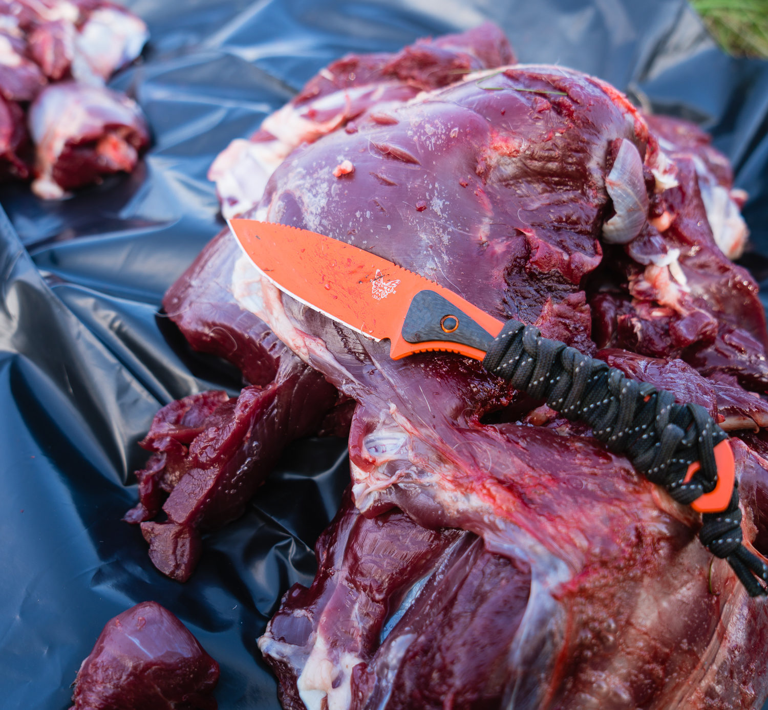 Benchmade Altitude Knife on Josh from Dialed in Hunter's Coues Deer Hunt in Arizona