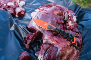 Benchmade Altitude Knife on Josh from Dialed in Hunter's Coues Deer Hunt in Arizona