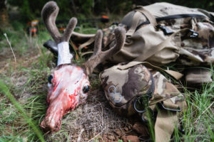 Josh from Dialed in Hunter's archery coues buck from Arizona