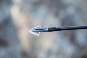 Grave Digger Broadhead on Josh's 2018 Archery elk hunt in arizona