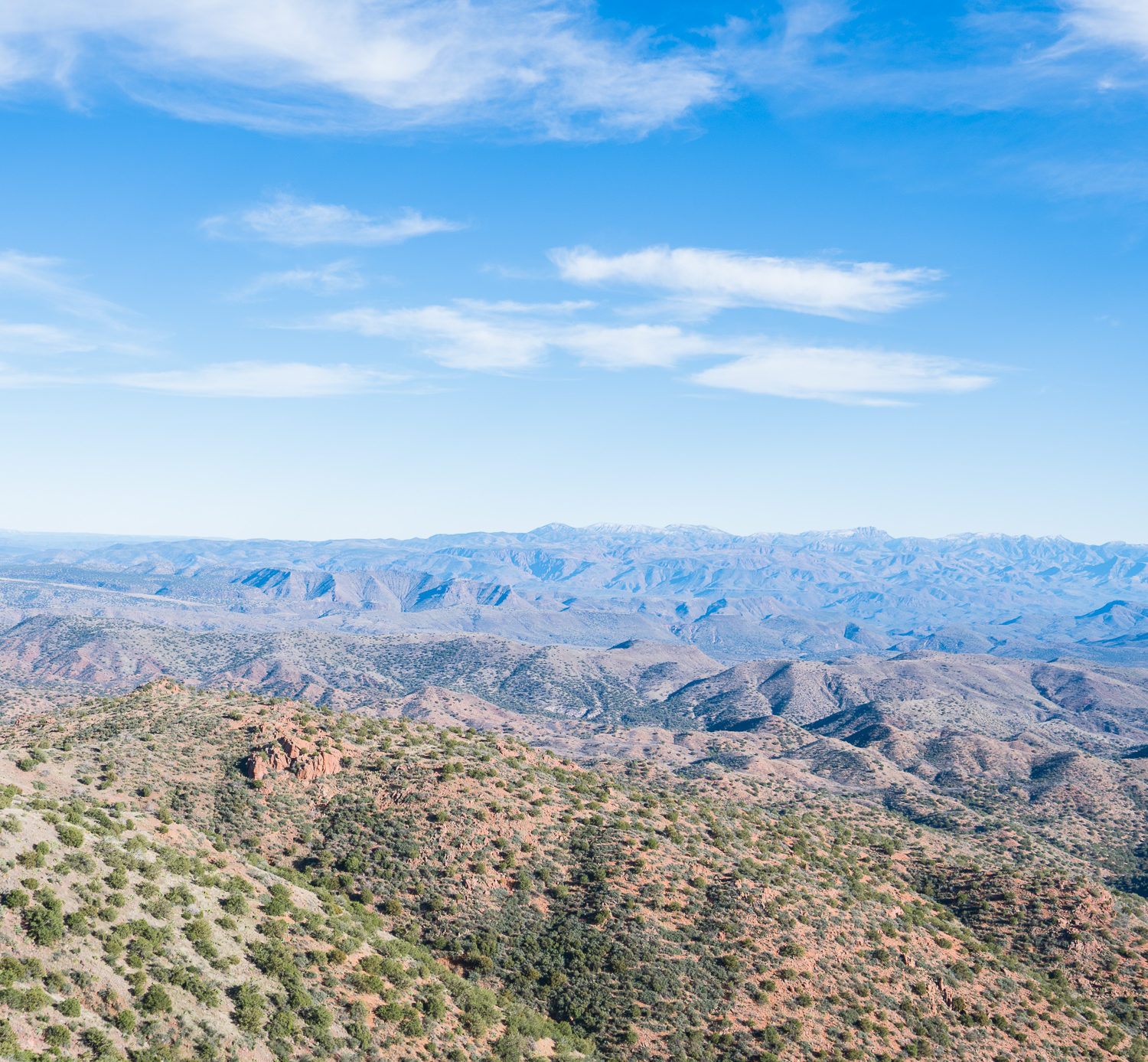 Backcountry Coues Deer Hunt