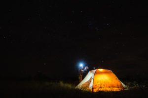 Backcountry Coues Deer Hunt in Arizona