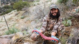 Josh from dialed in hunter with a fresh backstrap from his az archery coues deer