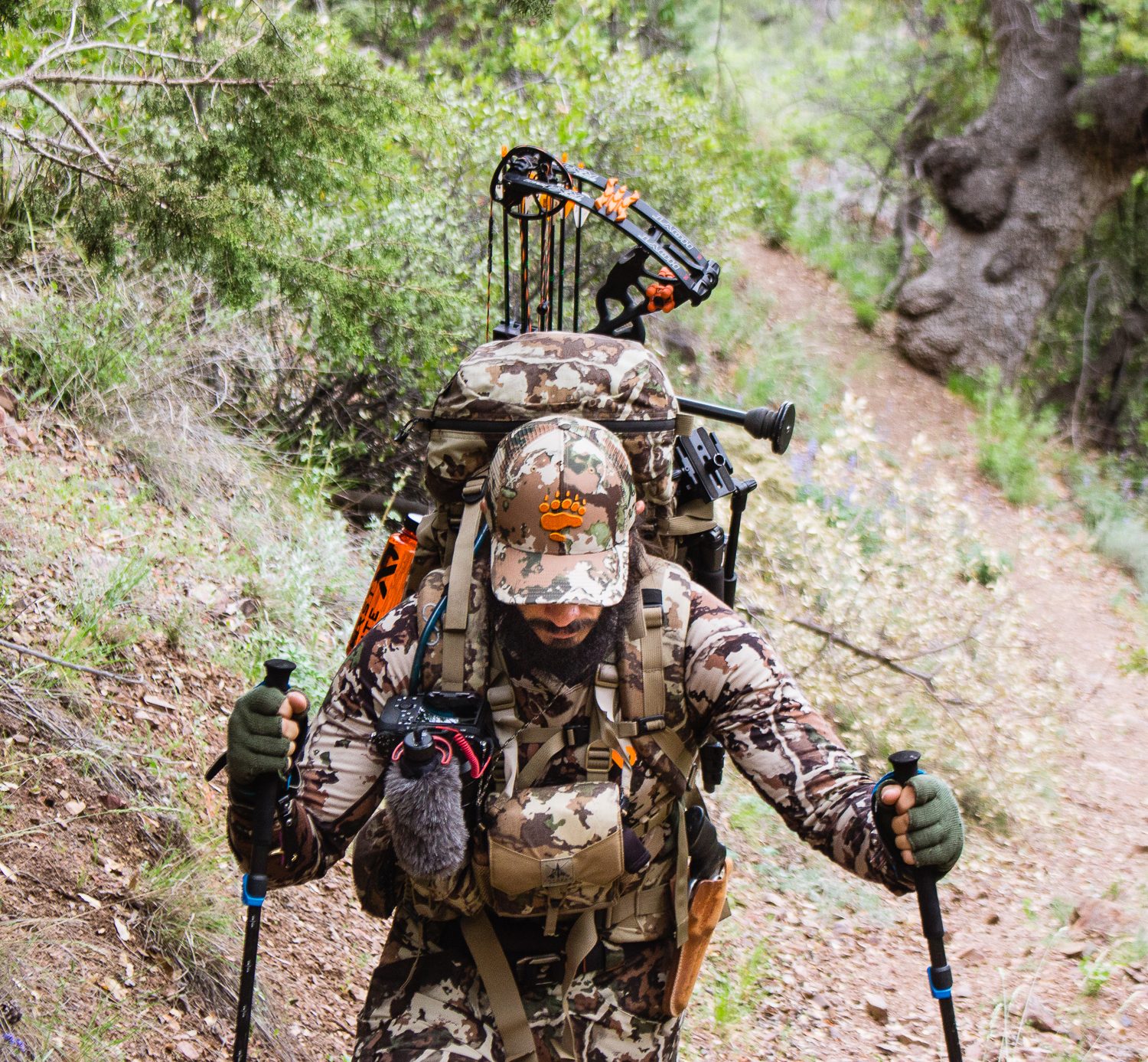 Josh from Dialed in Hunter on a Spring Black Bear Hunt in Arizona