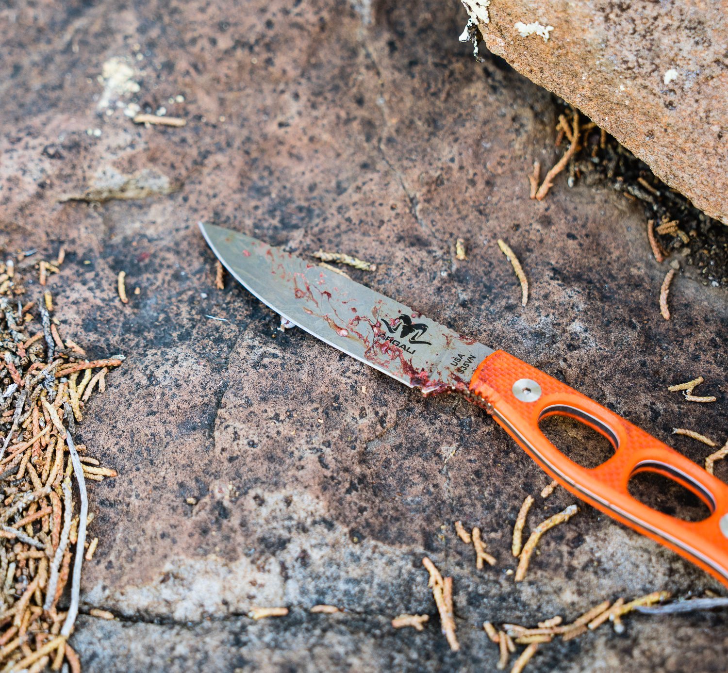 Argali Carbon Knife on black bear hunt in AZ