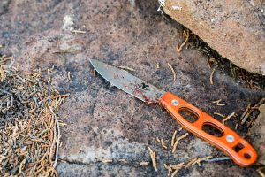 Argali Carbon Knife on black bear hunt in AZ