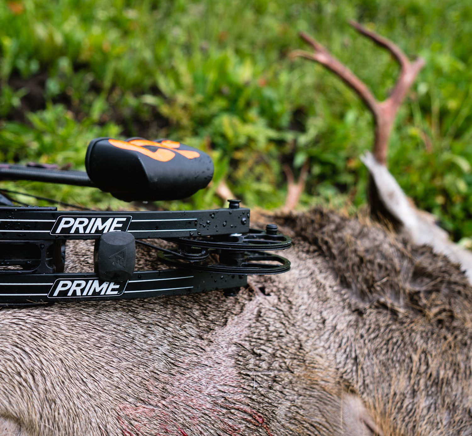 Josh from Dialed in Hunter's Archery High Country Mule Deer