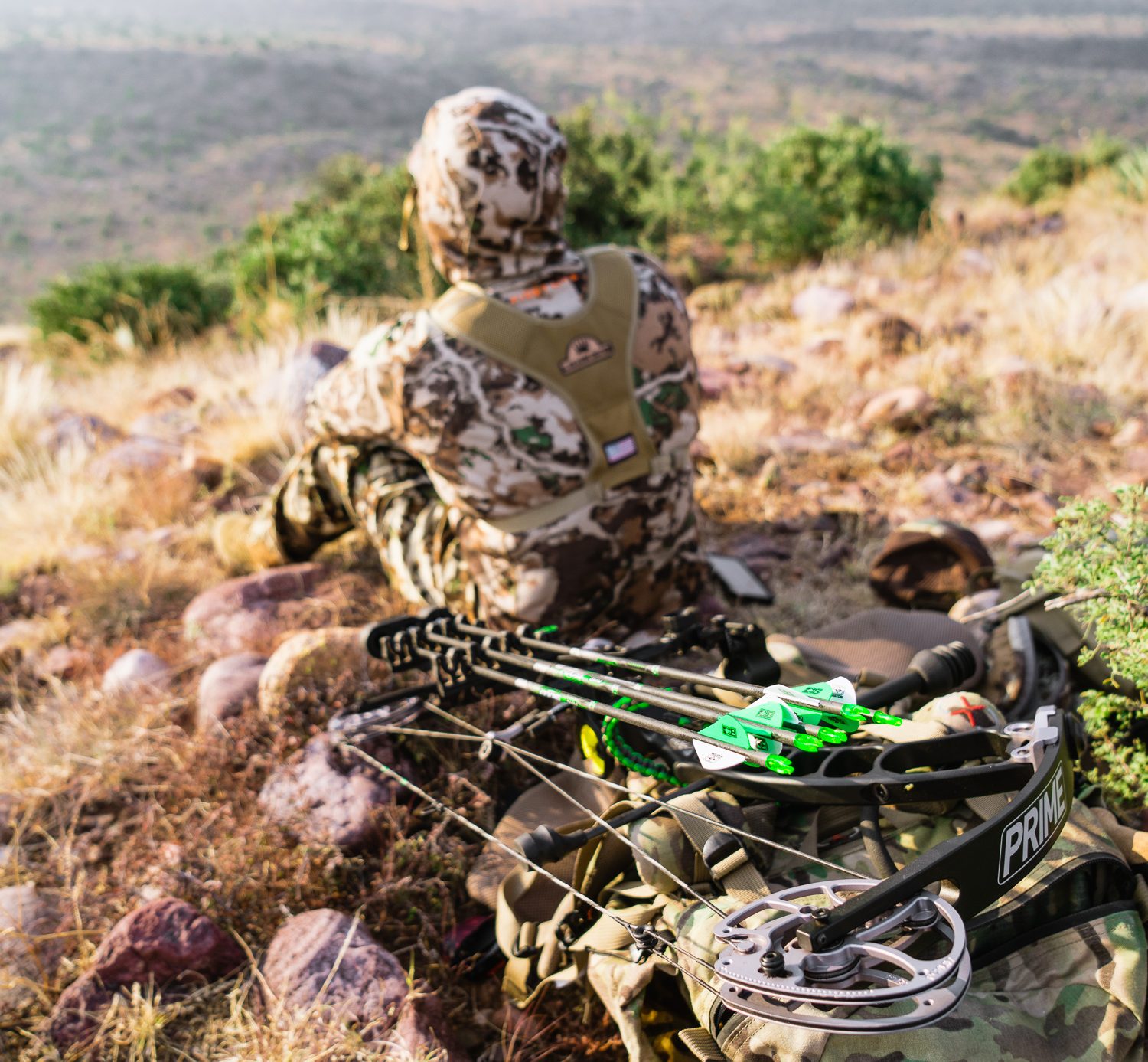 late archery elk hunt in arizona