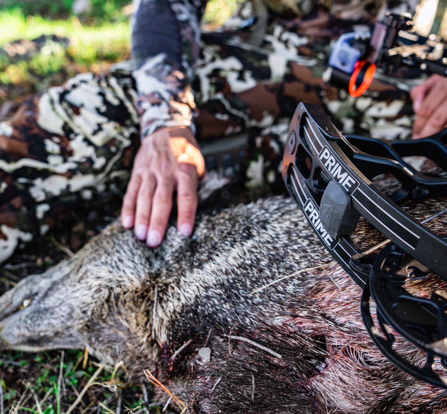 Josh from Dialed in Hunter and his 2020 archery javelina